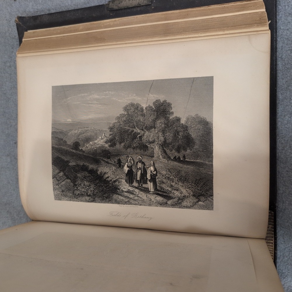 1883 Holman Pictorial Bible Dore Engravings Springs Family Fort Mill SC Ephemera - Picture 15 of 16